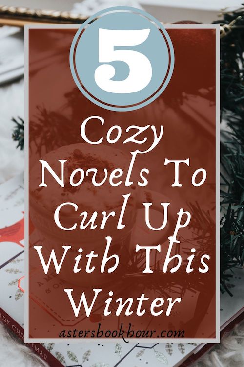 The pinterest image for 5 cozy novels to curl up with this winter. It is an aesthetic image and states the title with a red background.
