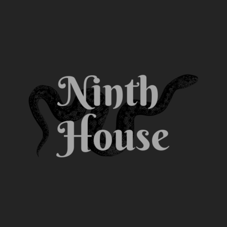 Aesthetic image for Ninth House by Leigh Bardugo.