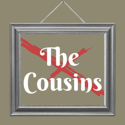 Aesthetic image for The Cousins by Karen M. McManus.