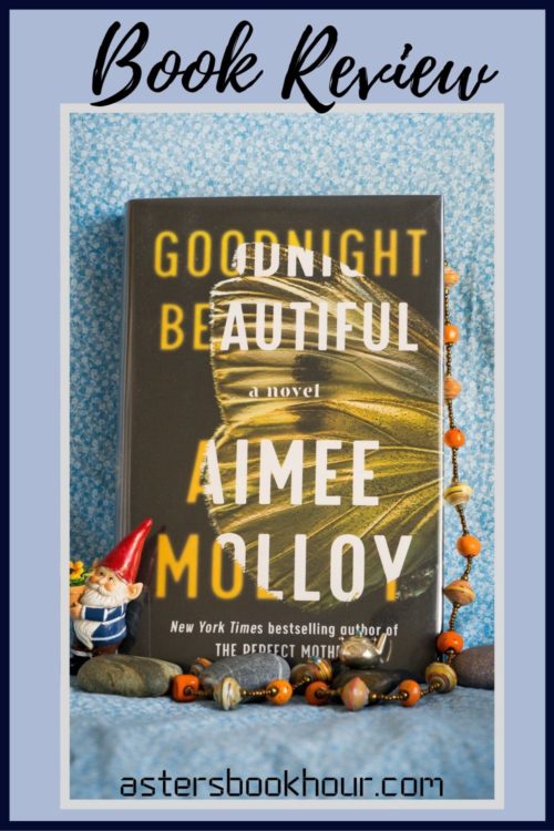 The pinterest image for Goodnight Beautiful by Aimee Molloy book review. There is a blue floral print background with the novel centered in the middle and the cover facing the front.