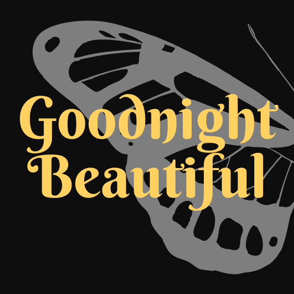 Aesthetic image for Goodnight Beautiful by Aimee Molloy.