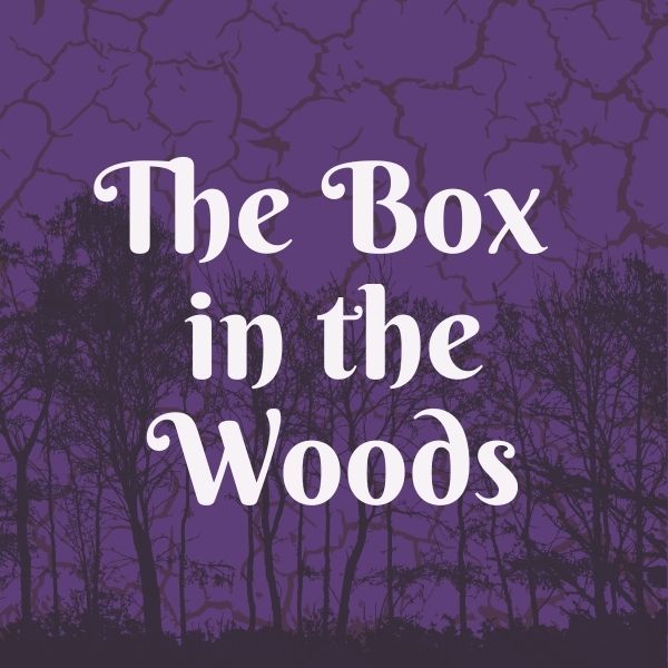 Aesthetic image for The Box in the Woods by Maureen Johnson.