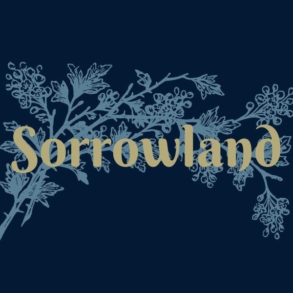 Aesthetic image for Sorrowland by Rivers Solomon.