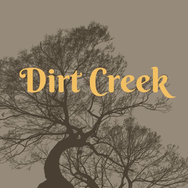 Aesthetic image for Dirt Creek by Hayley Scrivenor book review.