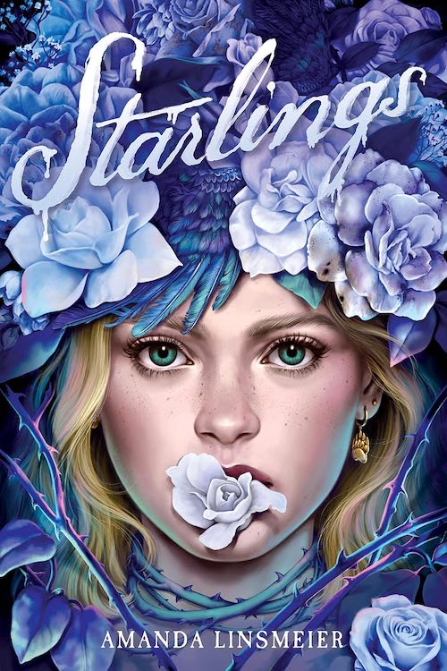 Starlings by Amanda Linsmeier book cover.